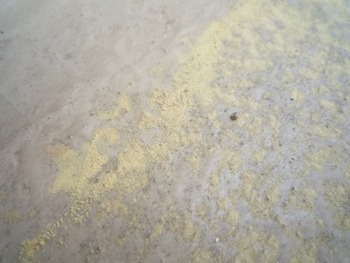 花粉？黄砂？