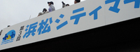 イベント報告〜浜松シティマラソン