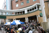 サイコ〜 HAMAMATSU JAZZ DAY