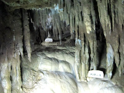 沖縄旅行2011（5）玉泉洞
