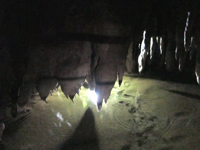 沖縄旅行2011（5）玉泉洞