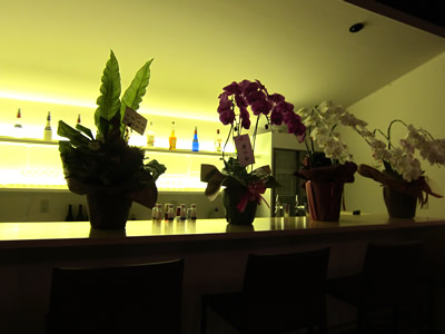 Bistro HAYASHI（ビストロハヤシ）