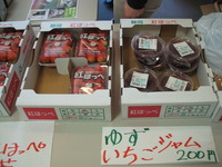 集団申告会で市政報告。