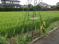 施餓鬼台完成。