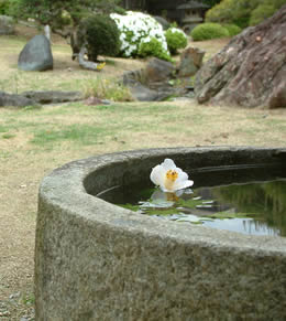 お待ちしてます。