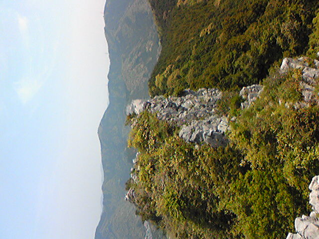 今日は、一空園さんでラフターヨガをやります