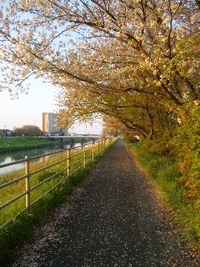 ゴールデンなウィークも営業でーす♪ 2012/04/28 10:09:04