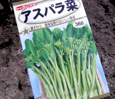 畑仕事〜その２〜