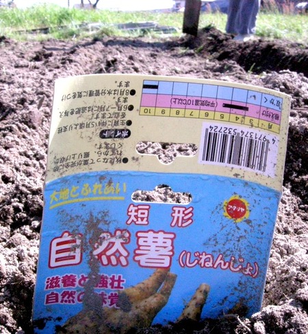 畑仕事〜その２〜
