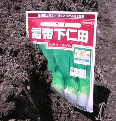 畑仕事〜その２〜