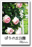 リクエストにお応えして♪