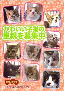 1時間延長 新しい飼い主さんを探す会inときわ屋