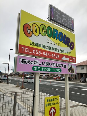 新しい飼い主さんを探す会inココロイロ