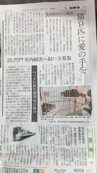 愛の手をありがとうございました。