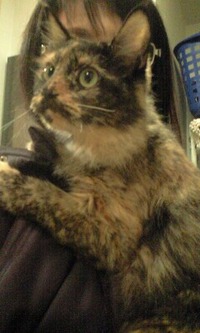 飼い主さんが見つかりました